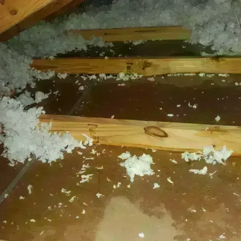 Attic Water Damage in Rancho Murieta, CA